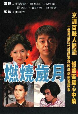 燃烧岁月 第11集