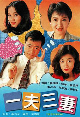 一夫三妻粤语 第05集