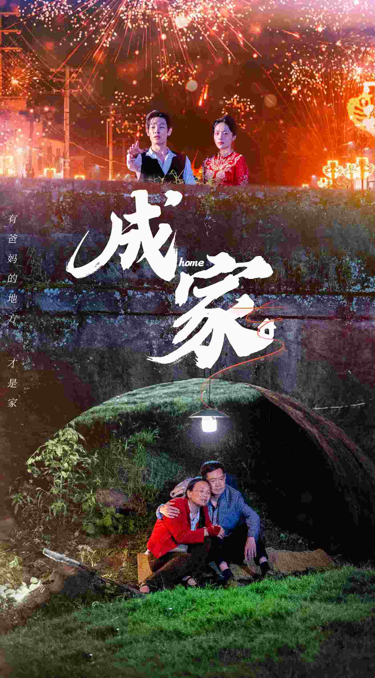 成家 短剧版(全集)