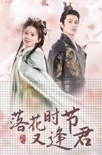 落花时节又逢君(全集)